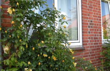 Altes Pastorenhus - Land und Meer - Foto 33