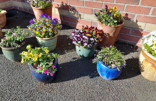 Viola Villa - Craigavon 4 Bed House for 6 Guests - Foto 25