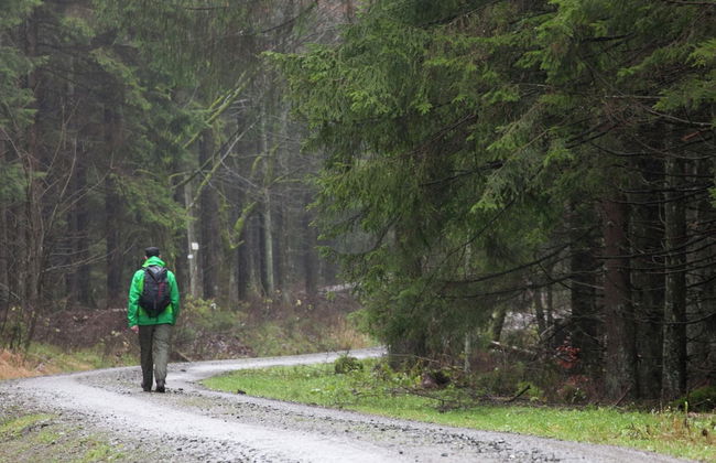 Lovely First Floor Apartment on the Edge of Bode - Photo 15