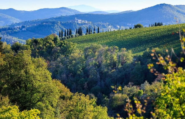 Serene Chianti Retreat - Foto 35