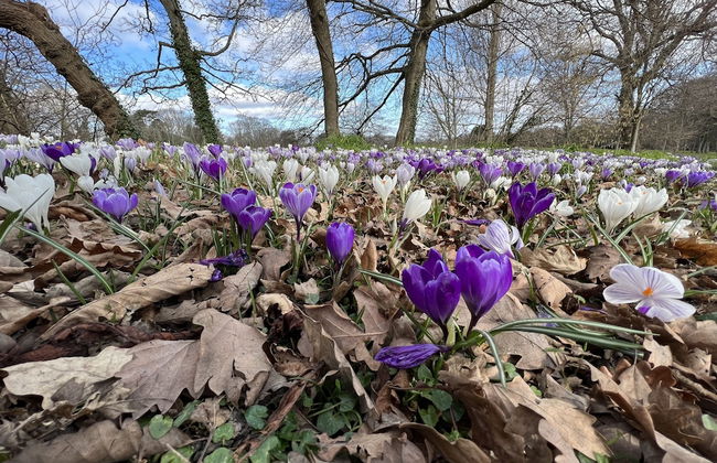 Mole Cottage - Foto 54