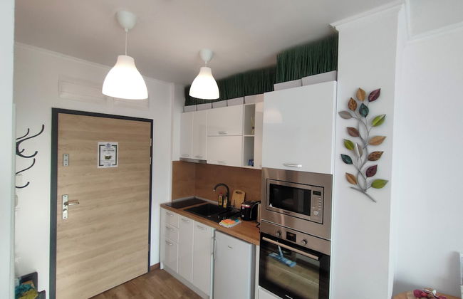 One room apartment - Foto 21