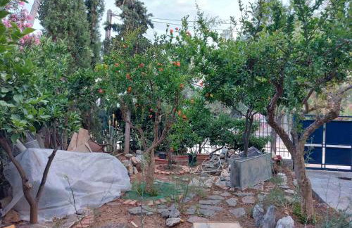 House on the beach - Photo 8