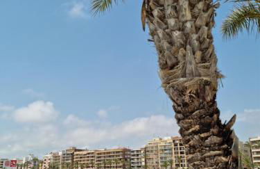 Apartamentos Palangres - Foto 21