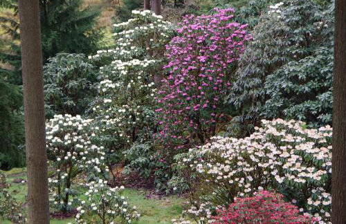 Ard Darach Lodge - Foto 13