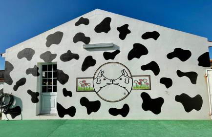 Azores Cow House - Photo 19