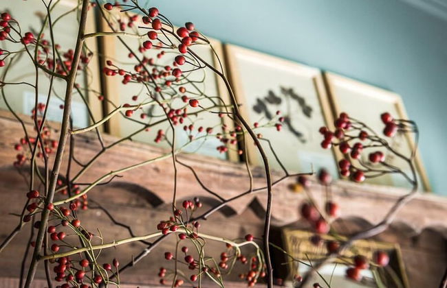 Apartment Dijver - Photo 13