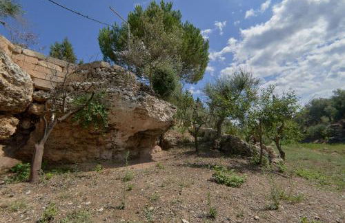 Riserva Ancelle - Foto 35