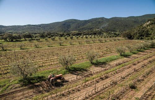 Agriturismo Ristorante Monte Argentario - Foto 104