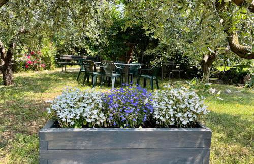 Corte Lavarini The Magic At Sight - Foto 45