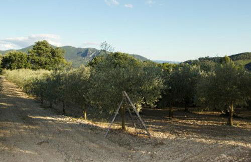 Mas provençal La Serallère au coeur des oliviers - Foto 14