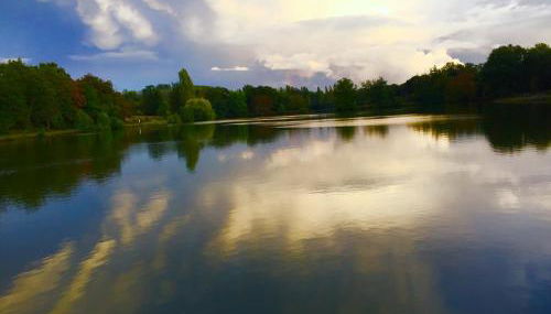 Nature et Bord d'Etang à Jars - Foto 3