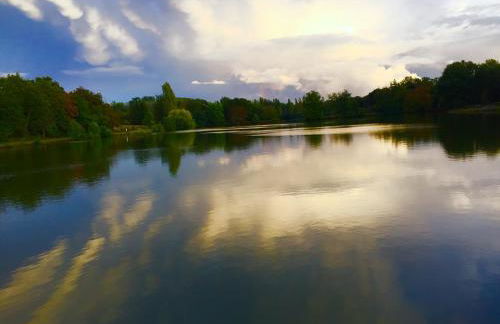Nature et Bord d'Etang à Jars - Foto 3