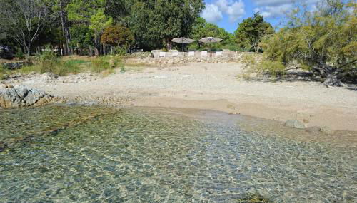 Domaine de Pianiccia - Foto 4