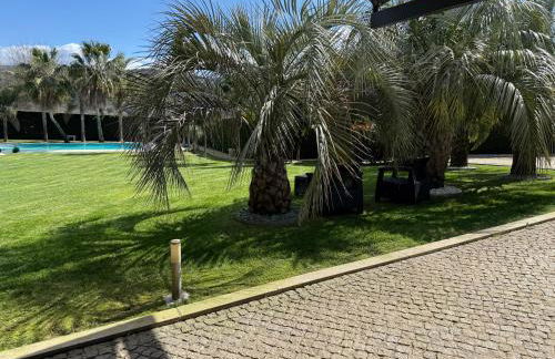 Quinta Das Palmeiras - Photo 7