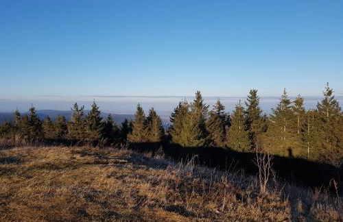 Ferienwohnung Paula - Foto 24