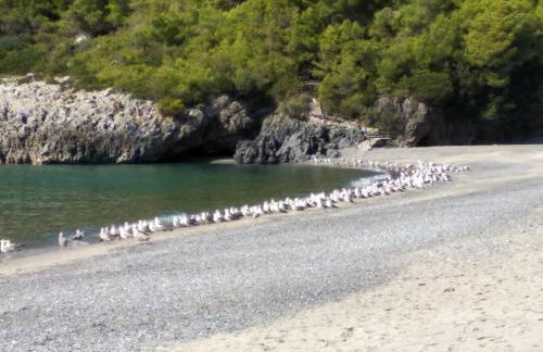 Le Case di Arconte - Foto 49