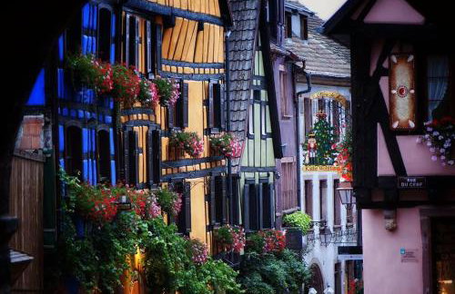 STUDIO ST GREGOIRE Au Pied des Vosges et Vignoble ! - Foto 39