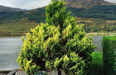 Viking Cottage - Foto 35