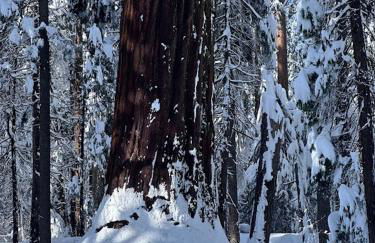 Historic Washington St Balcony - Photo 31