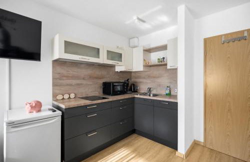 Moderne Einraumwohnung in Leipzig mit Netflix Zugang - Foto 4