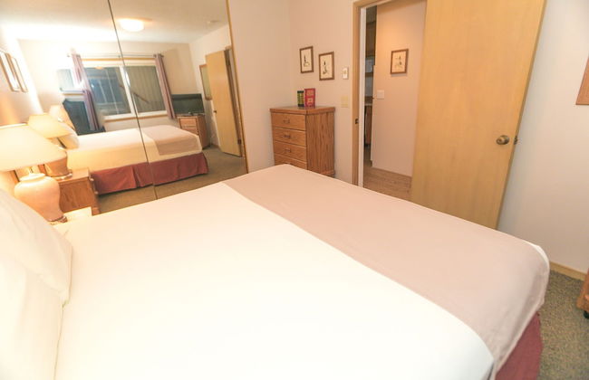 The Grey Gull - Foto 29