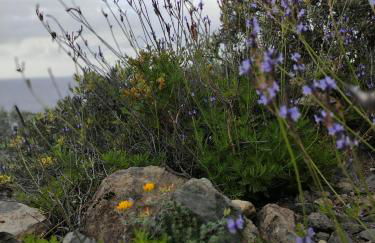 La Casita del Sendero - Foto 28