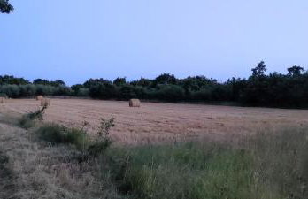 Tiny house Dora - Foto 14