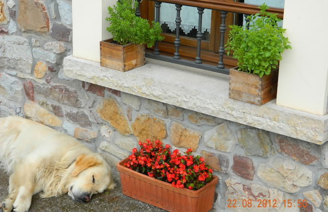 La Llosa Rodré - Foto 21