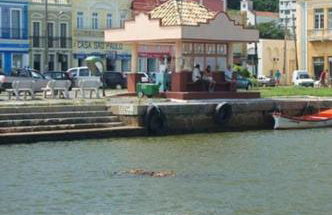 Estúdio acolhedor e versátil - Foto 9