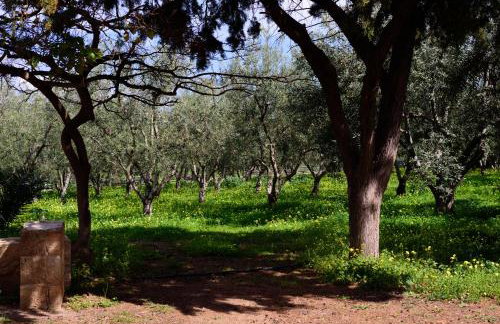 Eleni's House - Photo 7