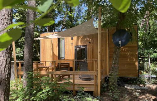 Tiny House am Ranziger See - Foto 1