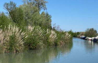 Bateau Péniche à quai 6 couchages - Foto 24