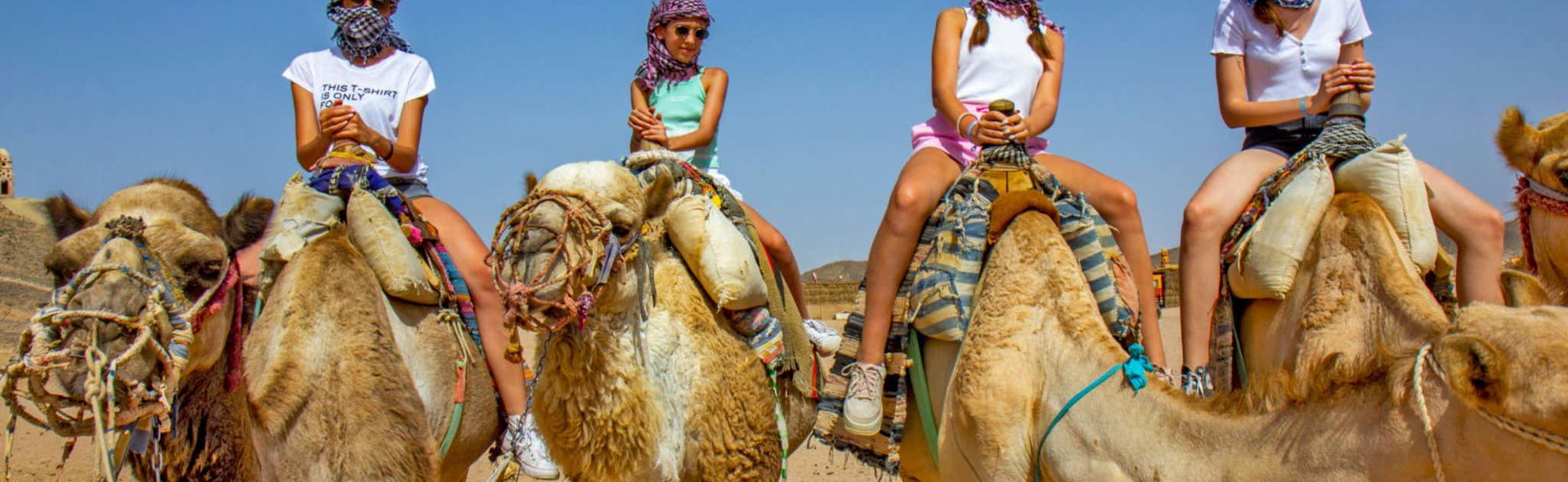 Balade en chameau dans Agadir