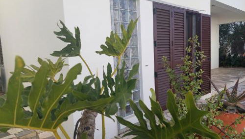 ELEVEN -A- SUITE tipo T1 - Foto 3, Garden view