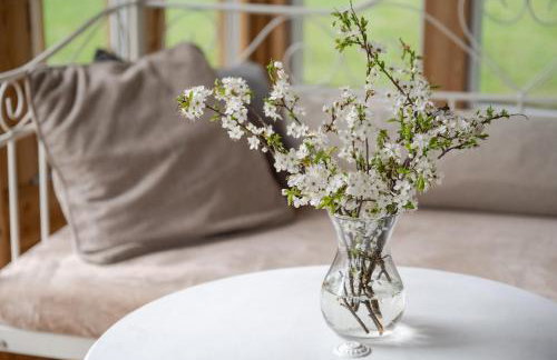 Butterfly Factory - Foto 57