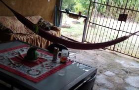 Chácara Chiafarelli - Photo 38