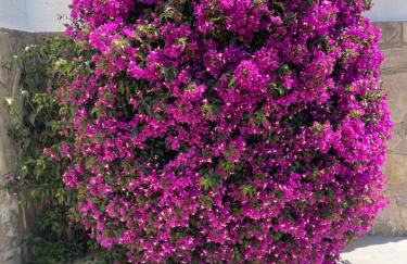 Villa Aqua Vista - Foto 27