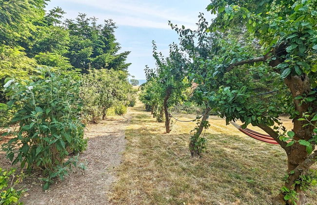 6 Person Holiday Home in Soby Aero - Foto 35