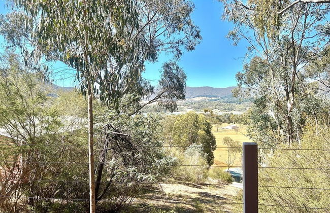 The Black Sparrow - Photo 70