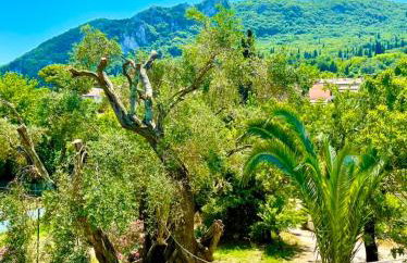 Green Hill House - Foto 9