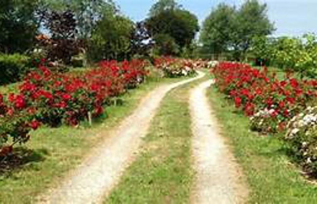 Brundish, Suffolk Large 4-bed Barn Stunning! - Foto 23