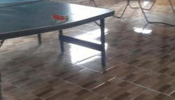 Chácara Bem Te Vi - Photo 4