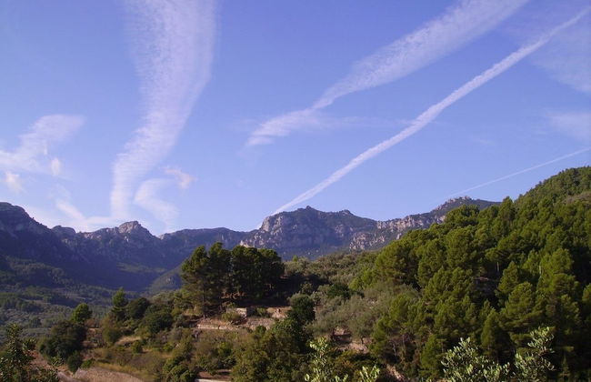 Ca Les Barberes - Photo 23