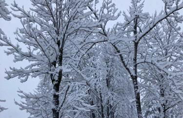 coquet studio au cœur de la station côte 2000 - Foto 7