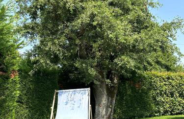 Villa Experience for 8 people with private 46 m2 heated pool & pet friendly - Foto 10