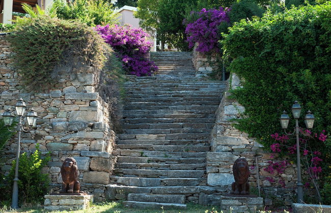 Montofoli Wine Estate - Foto 50