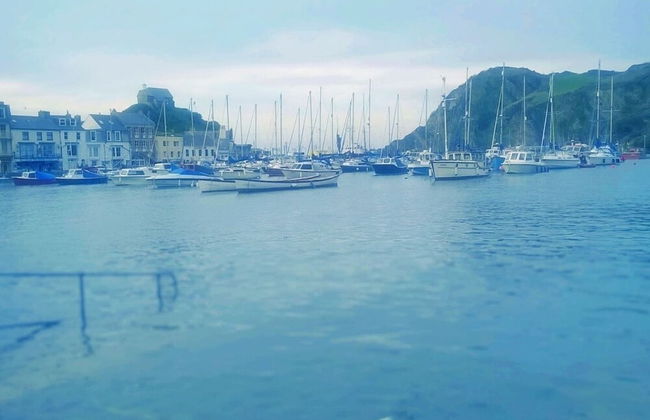 Verity and Ilfracombe Harbour View - Foto 20