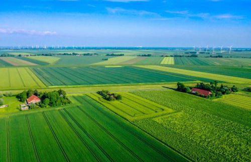 Polderhaus Deichblick direkt am Dullart - Foto 14