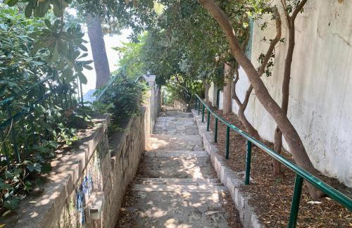 Beach and Green - Photo 29